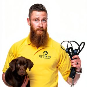 Dog Training eBook Kindle Edition by Pawsitive Learning – 124 Pages-0