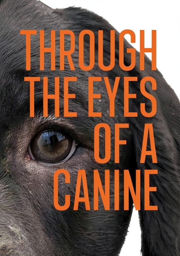Dog Training eBook by Winds Of Fate Publishing 413‑Page Kindle Guide-0