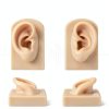 2 Pcs Silicone Ear Model Left and Right Soft Flexible Model Fake Ear Piercing Practice Silicone Body Parts Realistic for Jewelry Display Acupuncture Mannequin Teaching Instruction-1