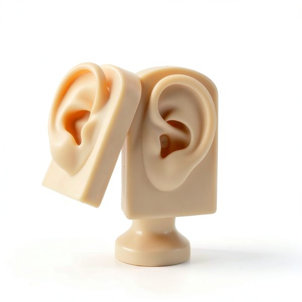 2 Pcs Silicone Ear Model Left and Right Soft Flexible Model Fake Ear Piercing Practice Silicone Body Parts Realistic for Jewelry Display Acupuncture Mannequin Teaching Instruction-2