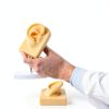 2 Pcs Silicone Ear Model Left and Right Soft Flexible Model Fake Ear Piercing Practice Silicone Body Parts Realistic for Jewelry Display Acupuncture Mannequin Teaching Instruction-3