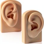 2 Pcs Silicone Ear Model Left and Right Soft Flexible Model Fake Ear Piercing Practice Silicone Body Parts Realistic for Jewelry Display Acupuncture Mannequin Teaching Instruction-0
